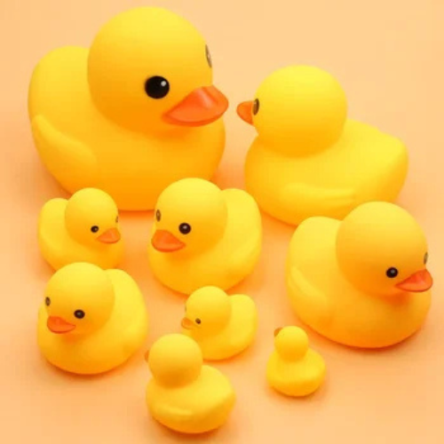 4 Pcs Duck Toy set